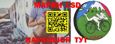 дживик Бийск