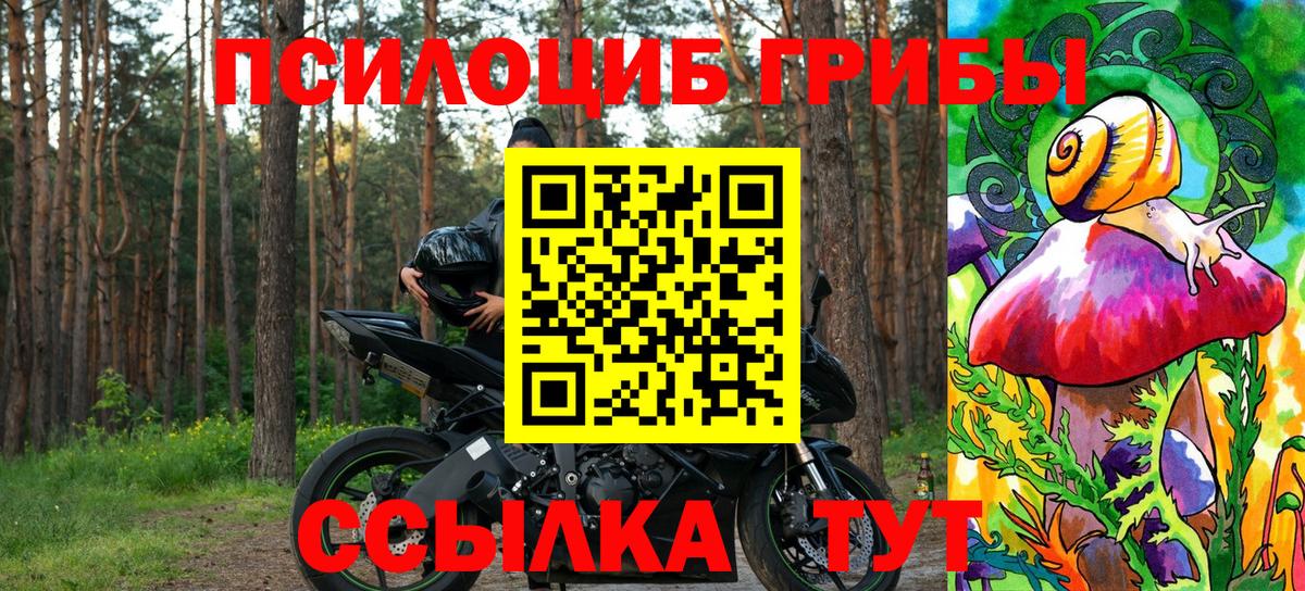 Псилоцибиновые грибы прущие грибы  наркота  Псилоцибиновые грибы MAGIC MUSHROOMS  Калининград  Вход с VPN 