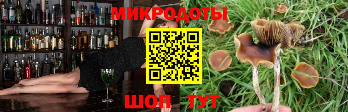 Галлюциногенные грибы MAGIC MUSHROOMS Калининград